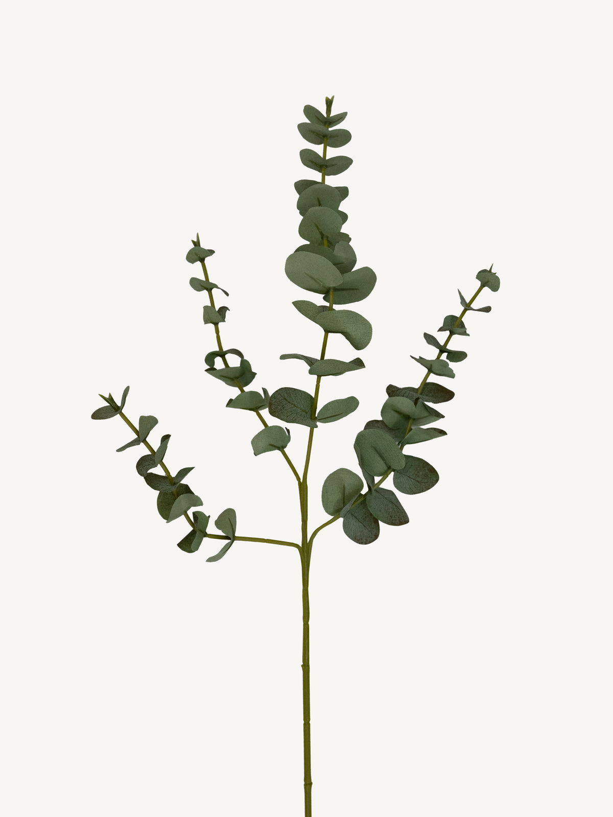Flower EUCALYPTUS 58cm green