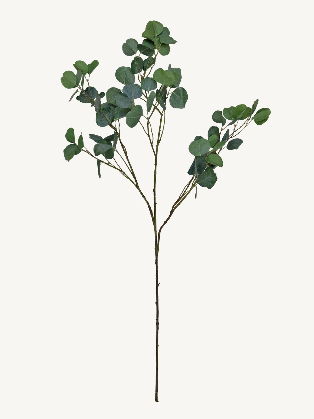 Branch EUCALYPTUS 120cm green