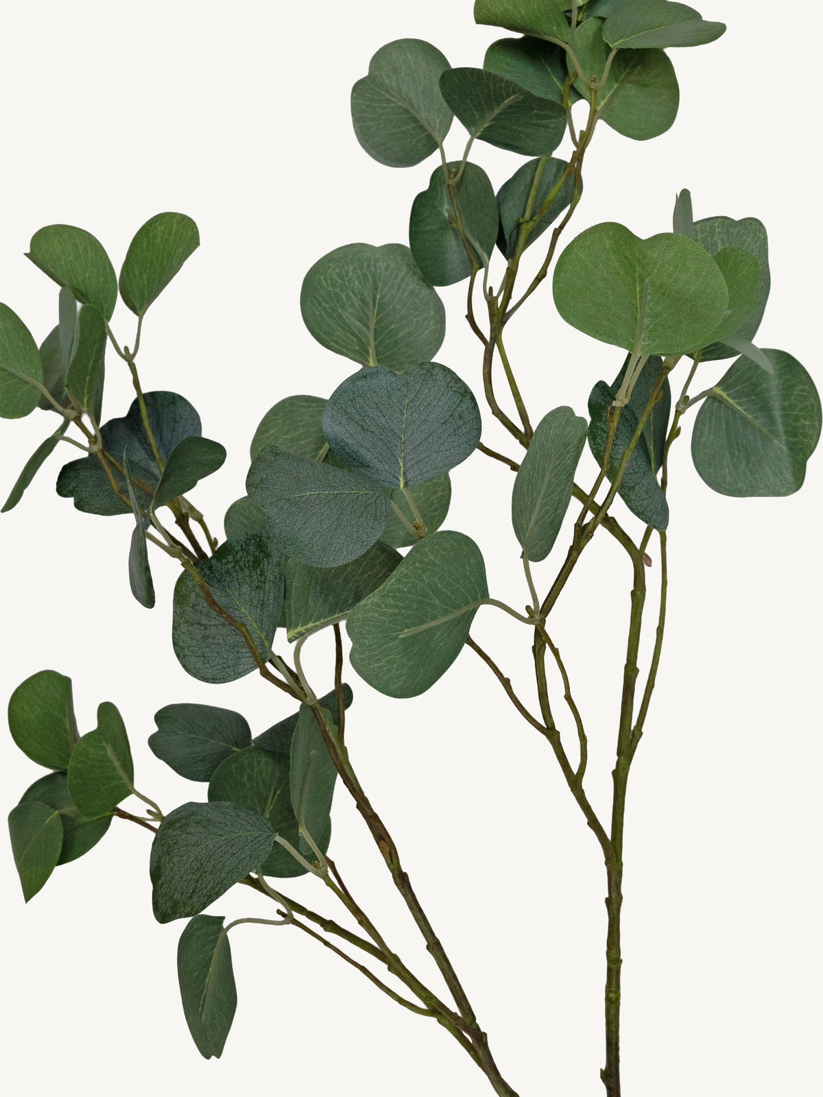 Branch EUCALYPTUS 120cm green