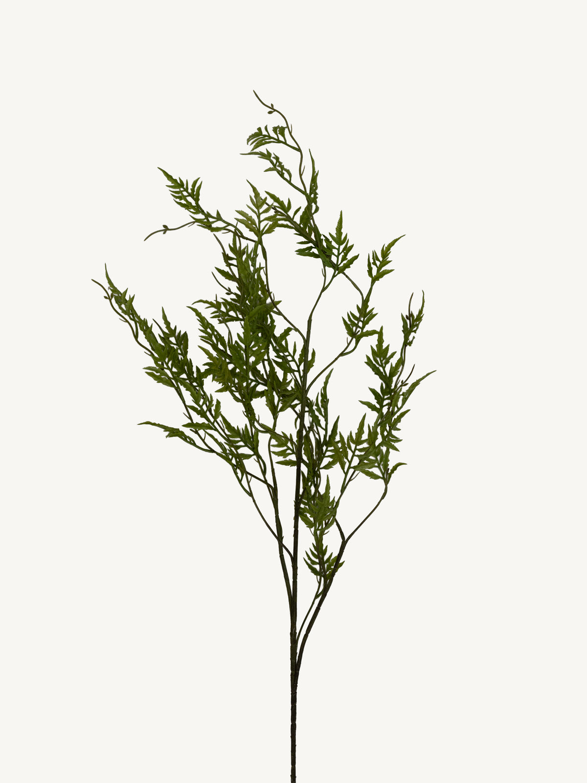 Branch FERN 113cm green
