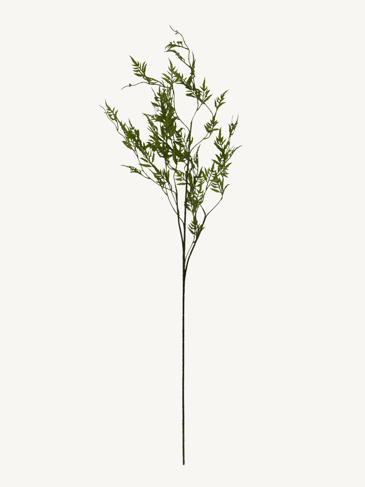 Branch FERN 113cm green