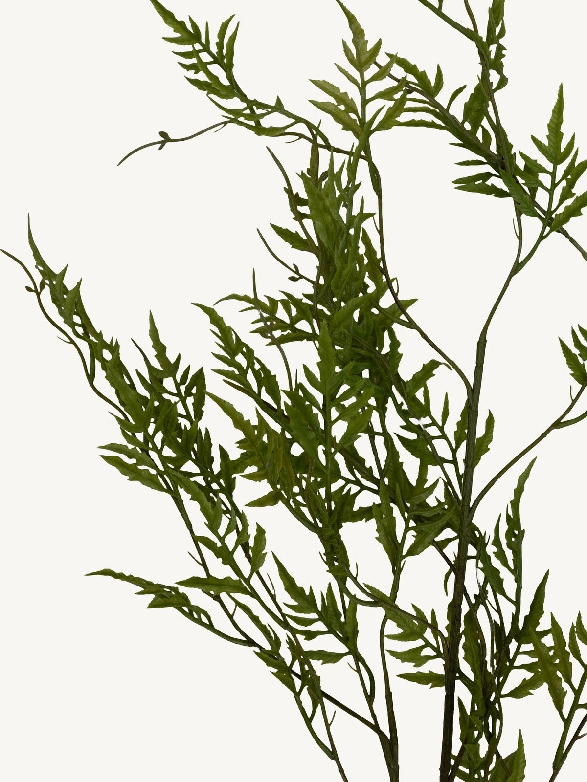 Branch FERN 113cm green