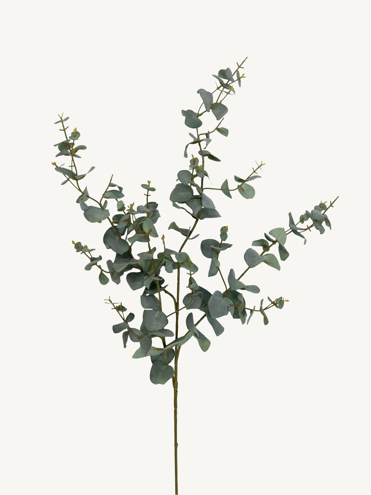 Branch EUCALYPTUS 115cm green