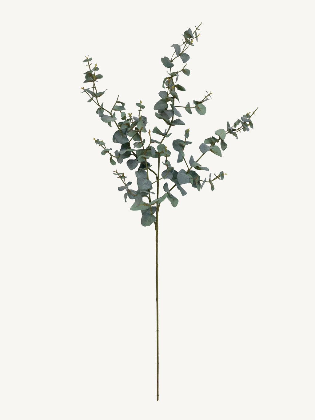 Branch EUCALYPTUS 115cm green