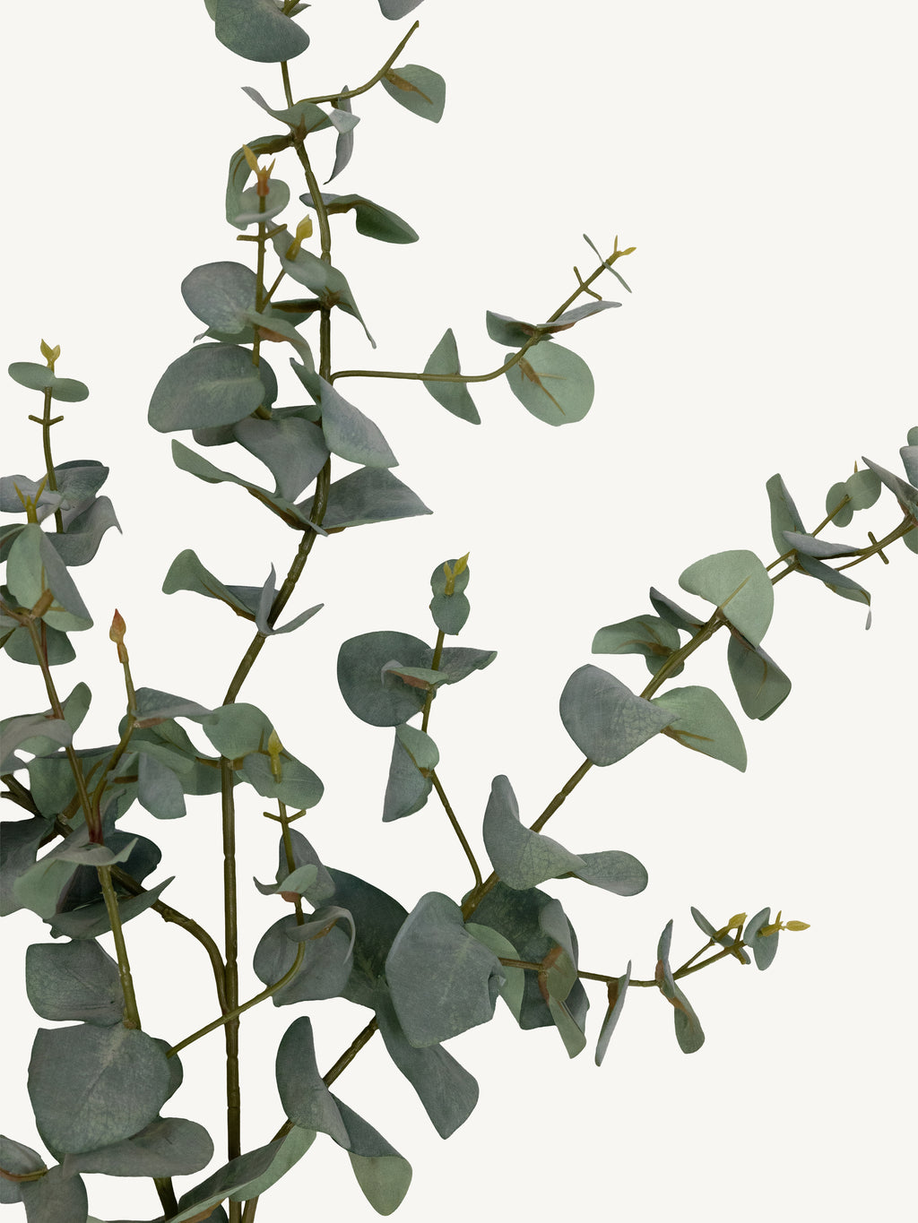 Branch EUCALYPTUS 115cm green