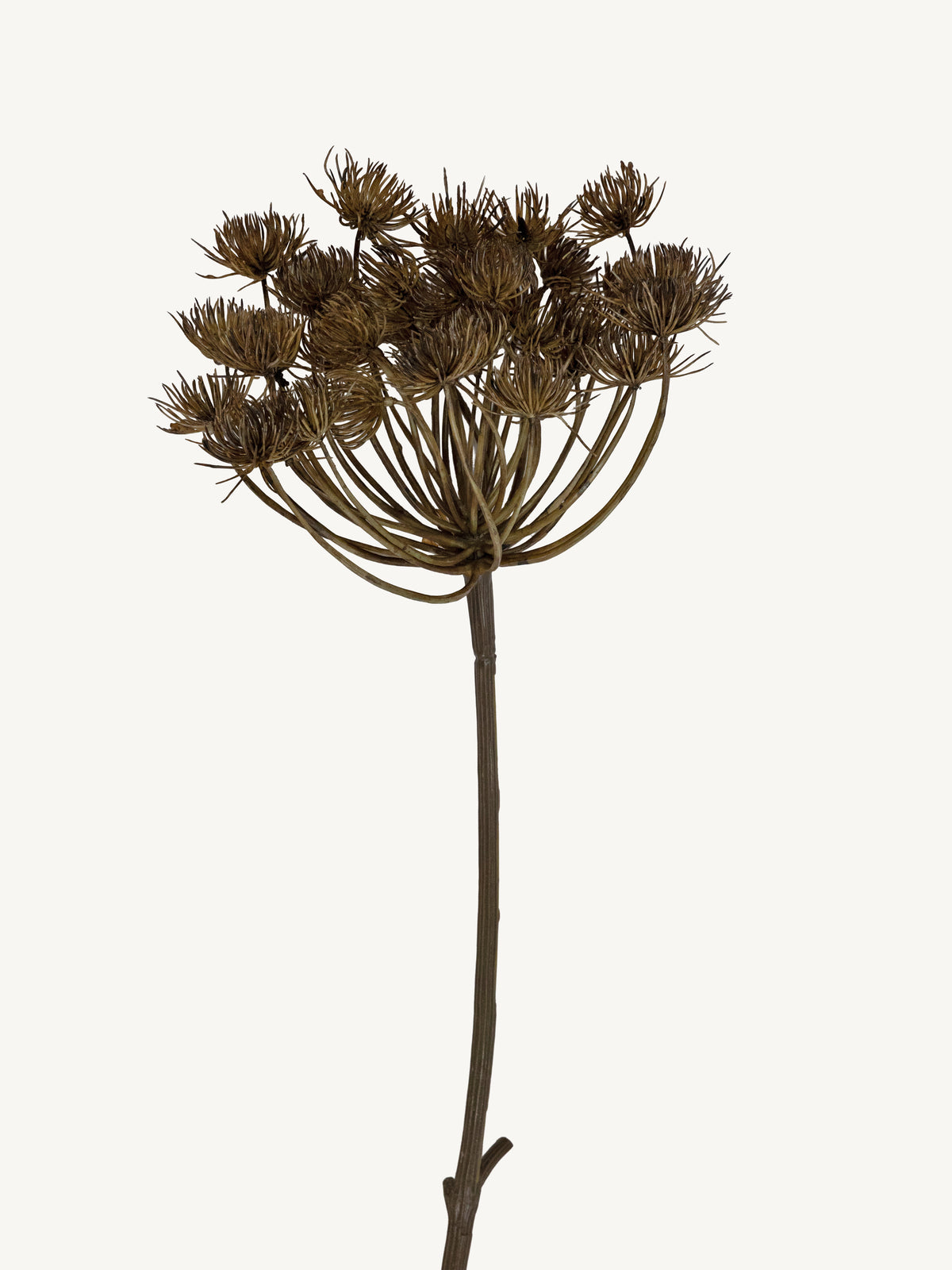 Branch ORLAYA 75cm brown
