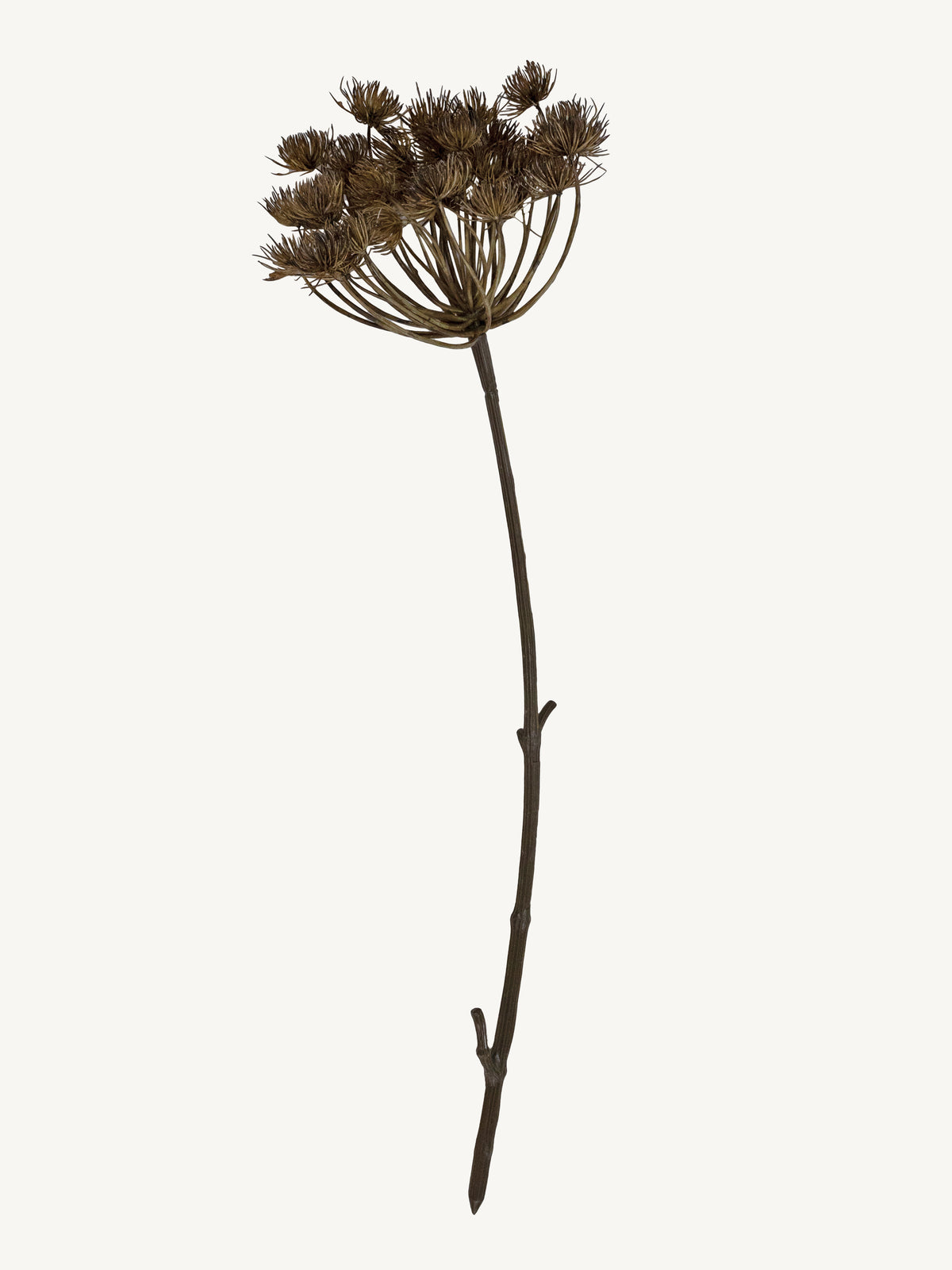 Branch ORLAYA 75cm brown
