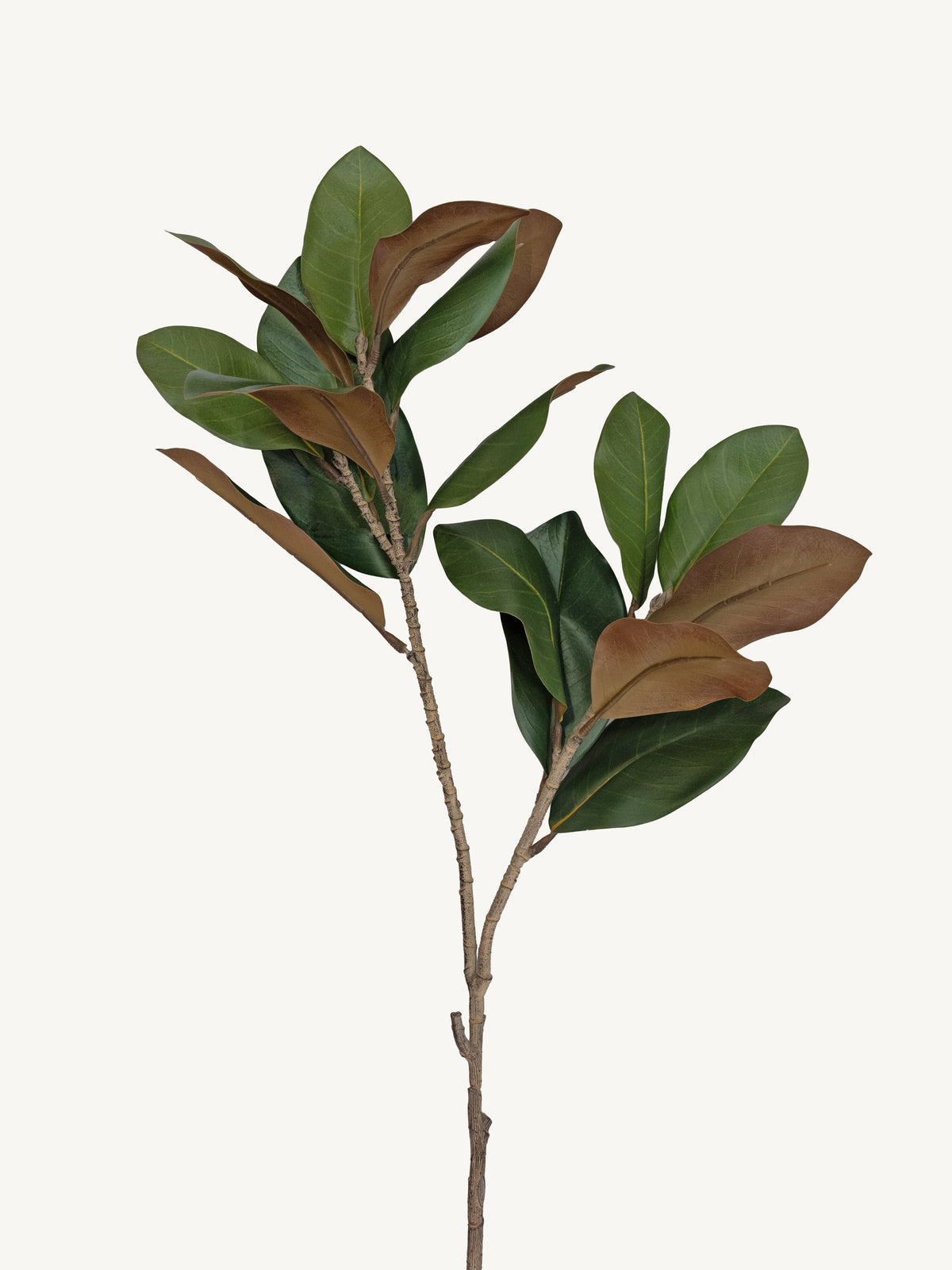 Branch MAGNOLIA LEAF 113cm green