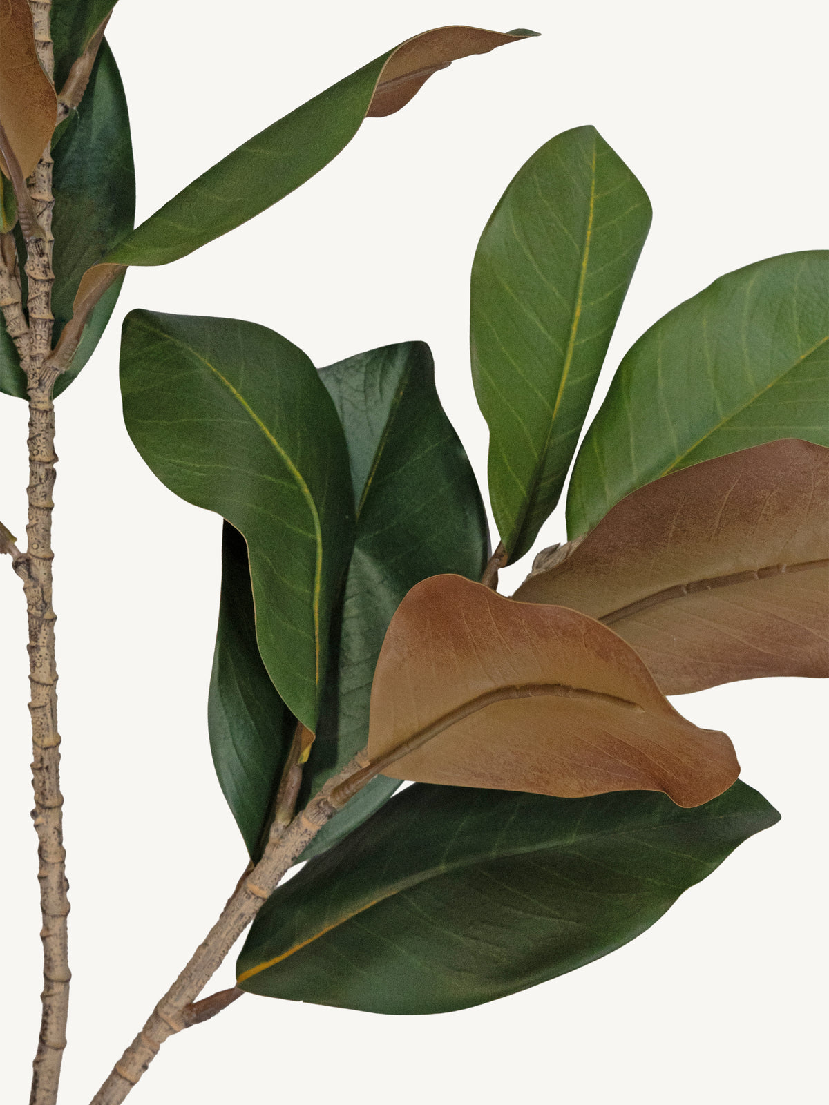Branch MAGNOLIA LEAF 113cm green