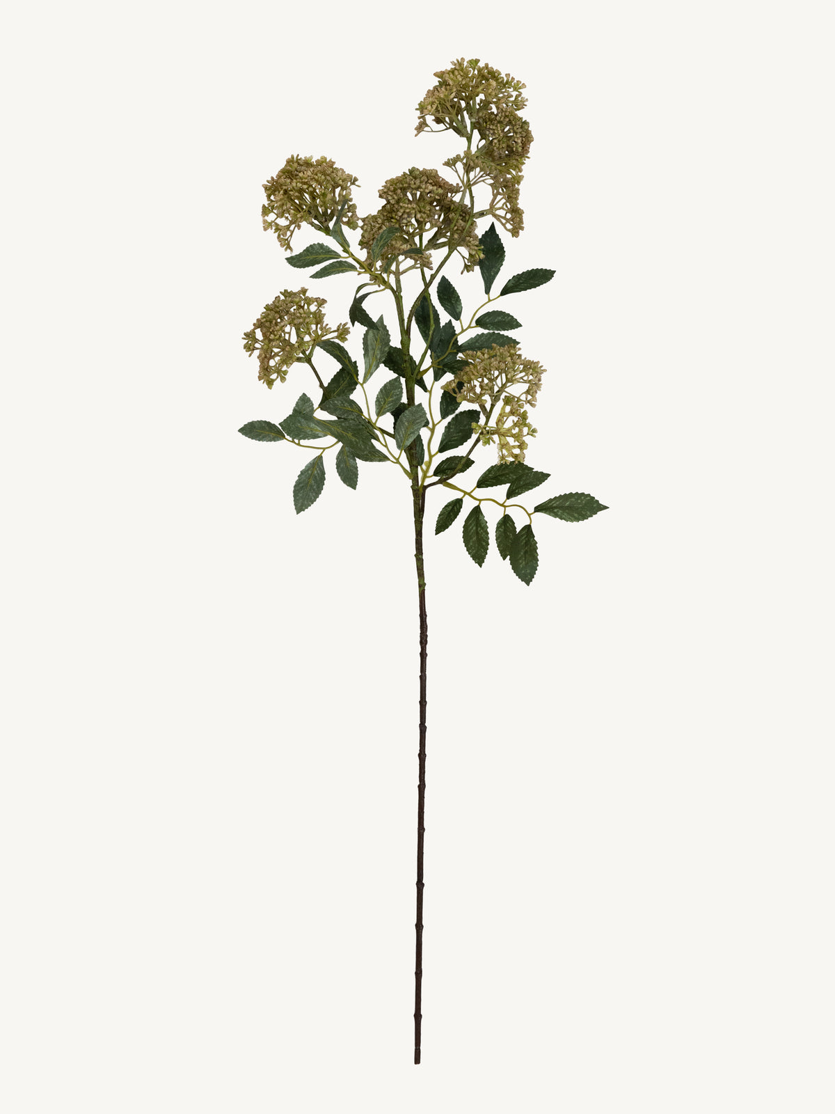Flower TRACHELIUM 78cm green