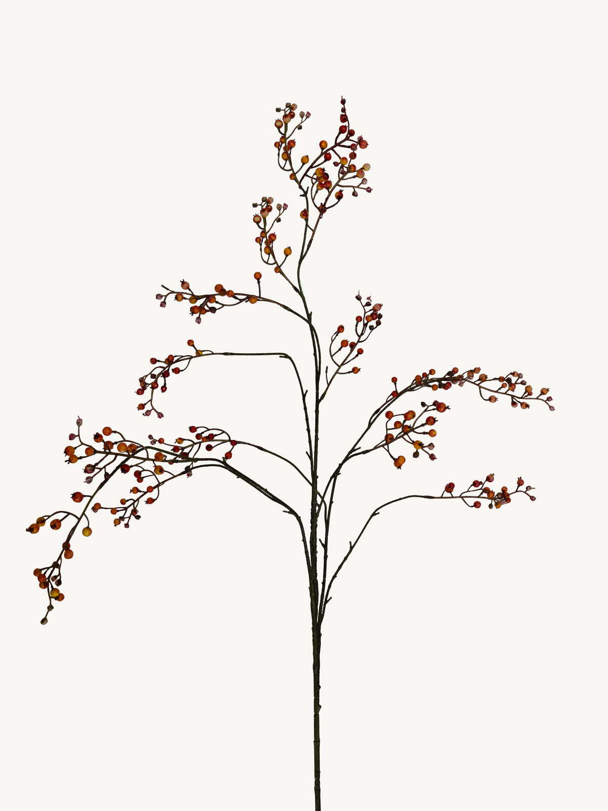 Branch EUCALYPTUS 130cm orange