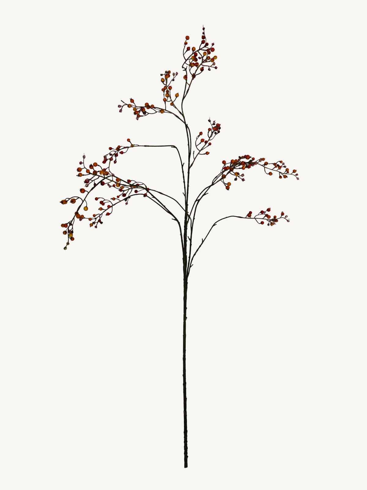 Branch EUCALYPTUS 130cm orange