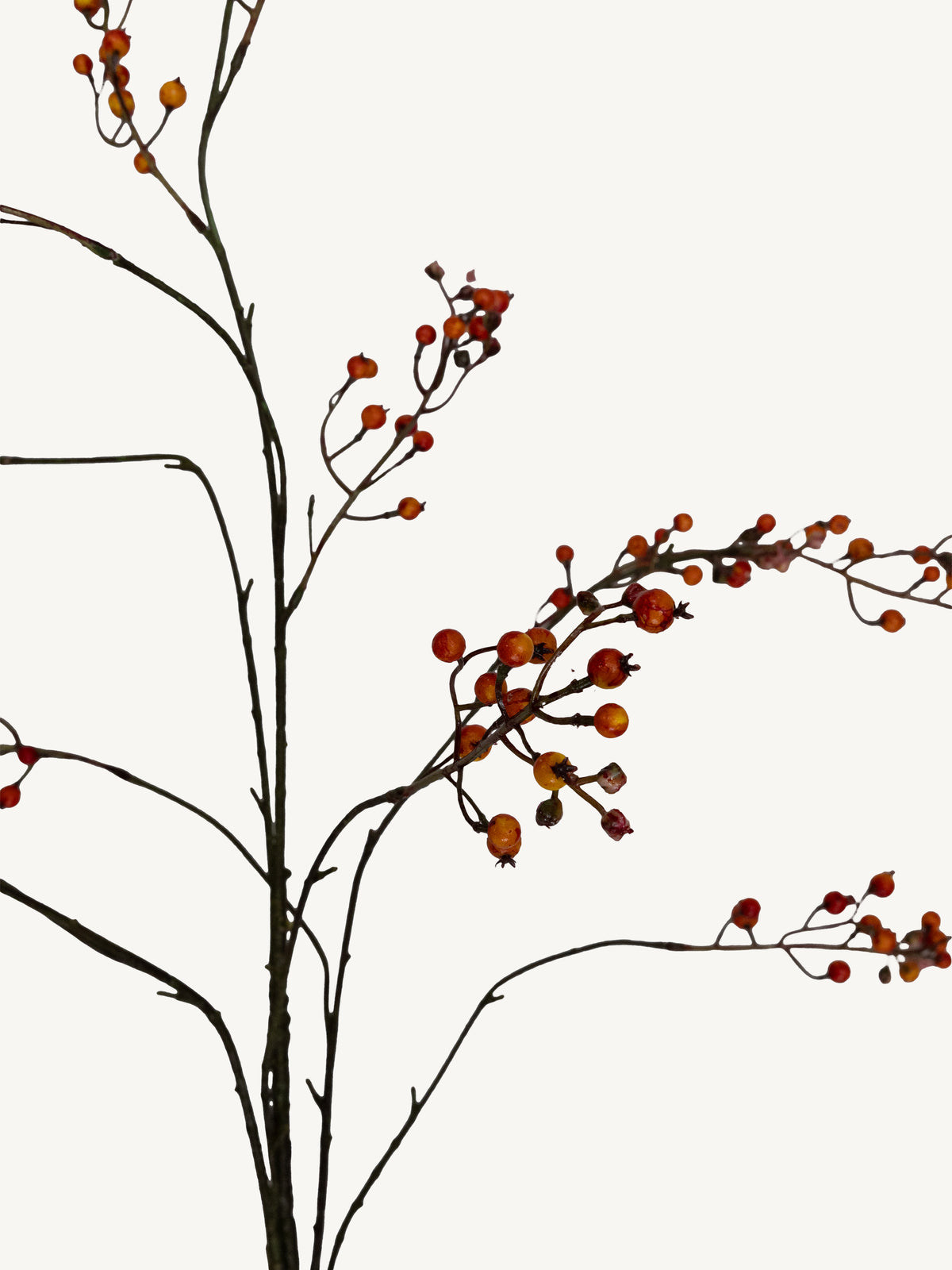 Branch EUCALYPTUS 130cm orange