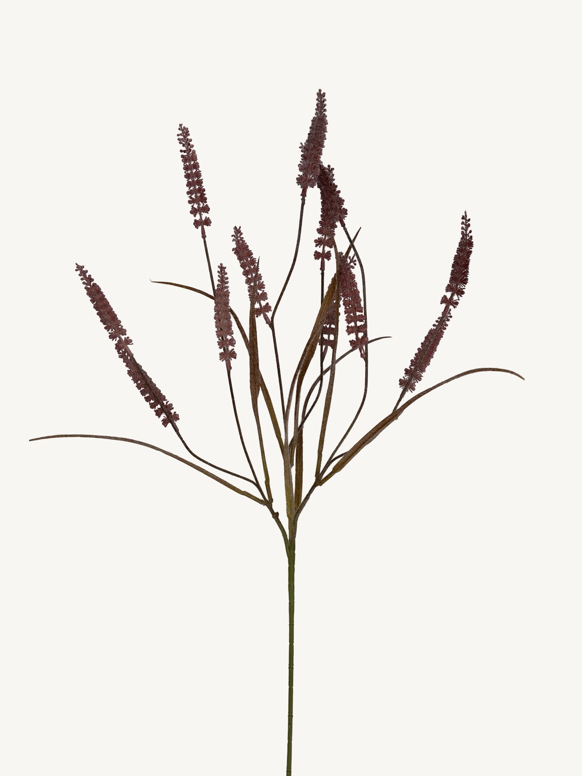 Branch RHYNCHOSTYLIS 87cm purple