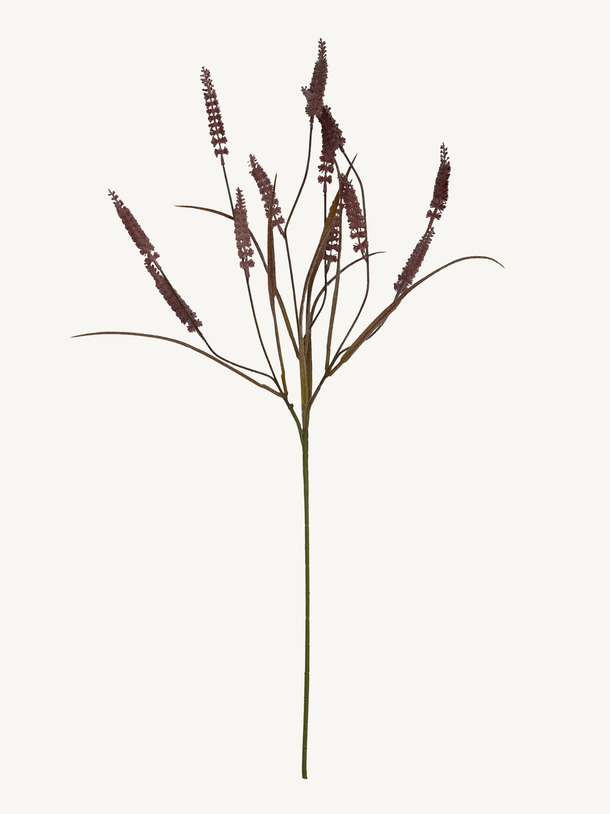 Branch RHYNCHOSTYLIS 87cm purple