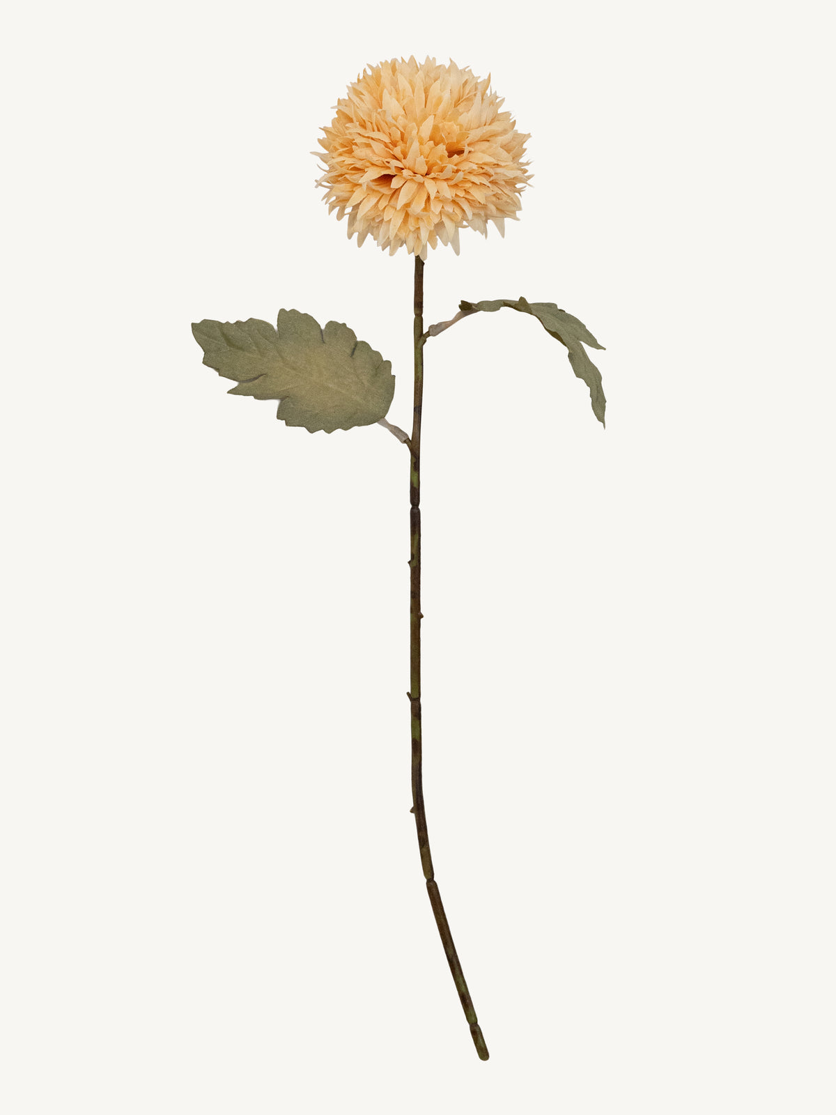 Flower CHRYSANTHEMUM 35cm soft pink