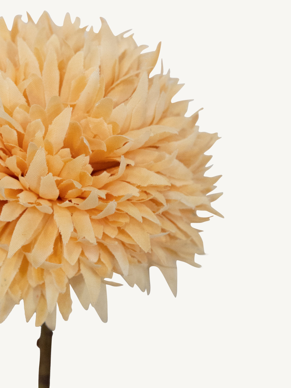 Flower CHRYSANTHEMUM 35cm soft pink