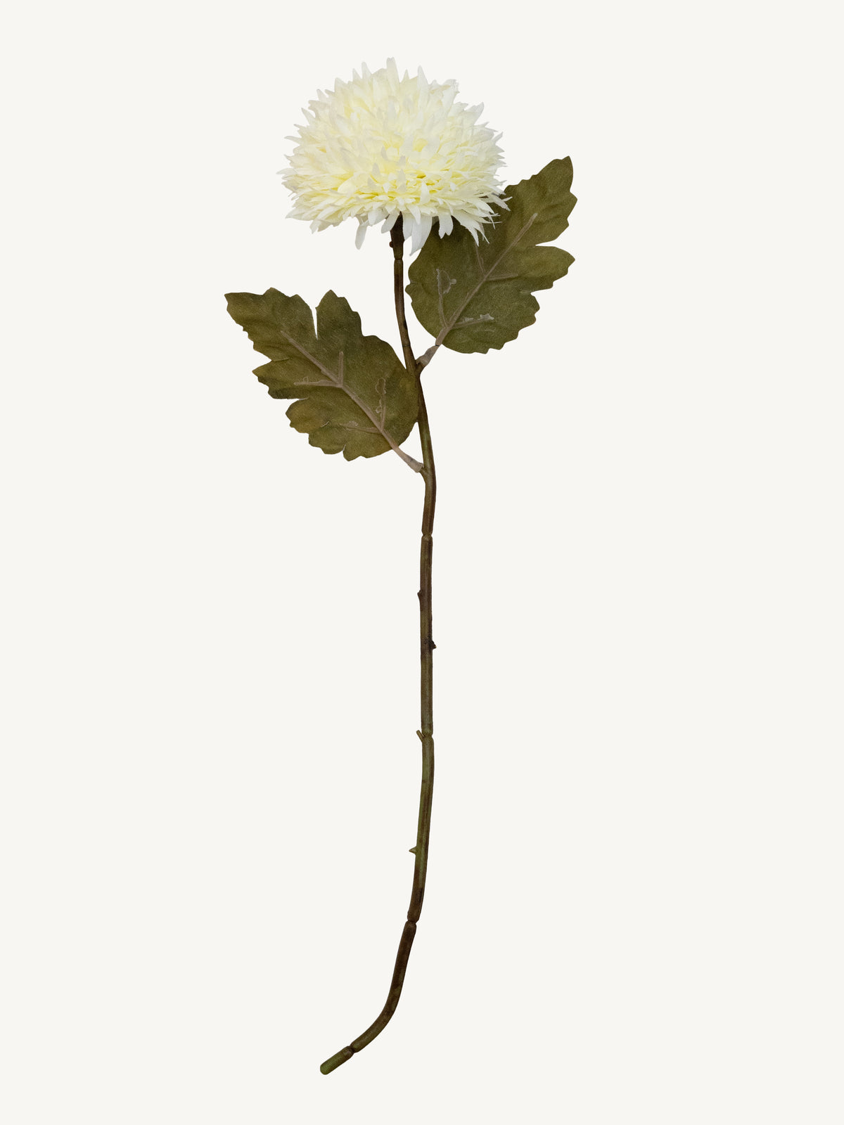 Flower CHRYSANTHEMUM 35cm white