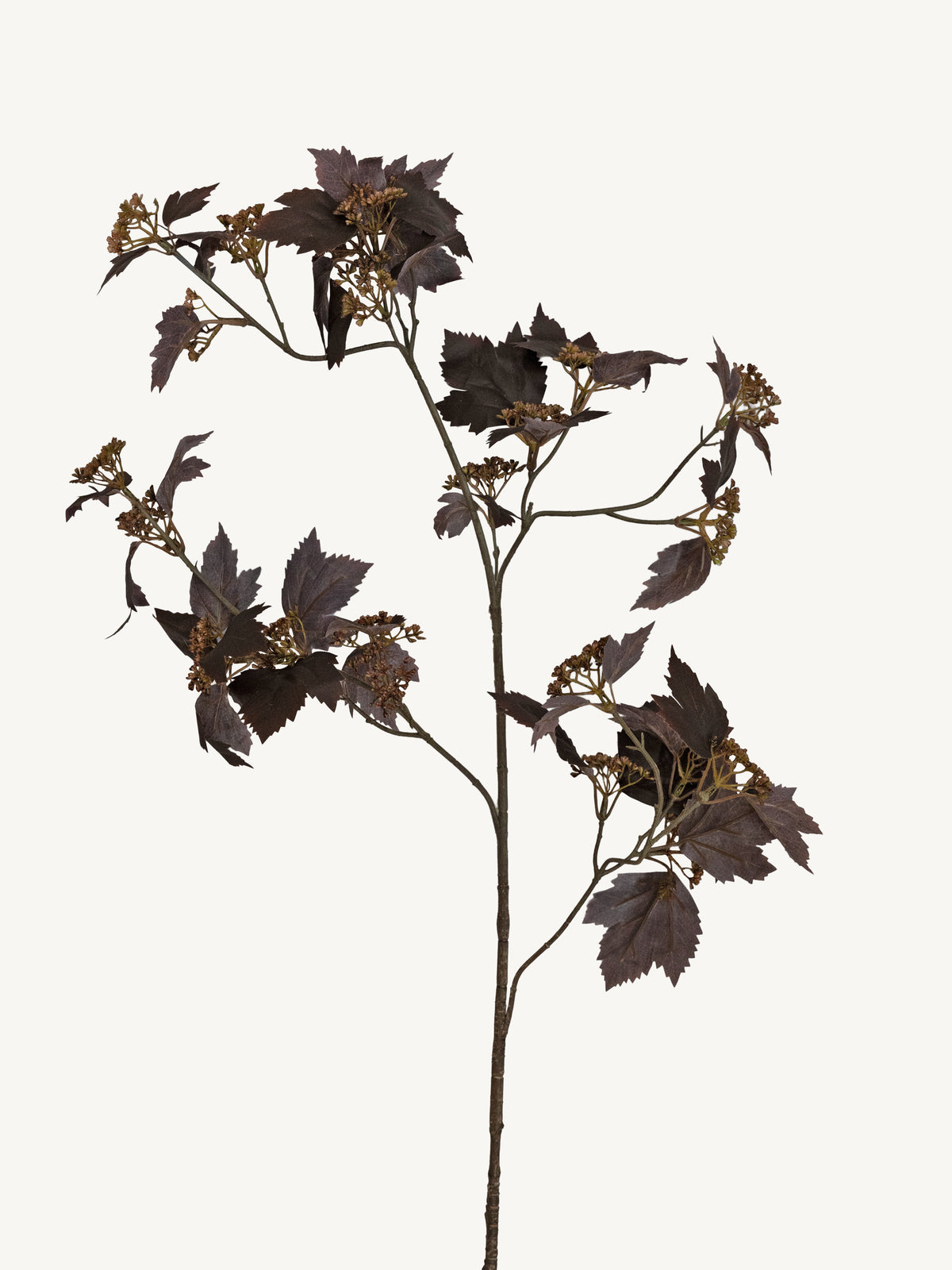 Branch MAPLE 110cm maple