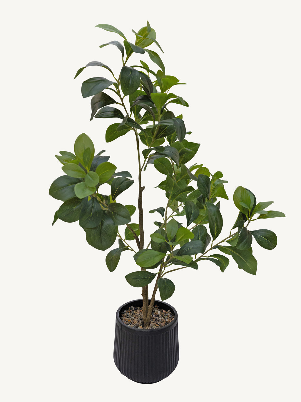 Plant FICUS Ø45x95cm green