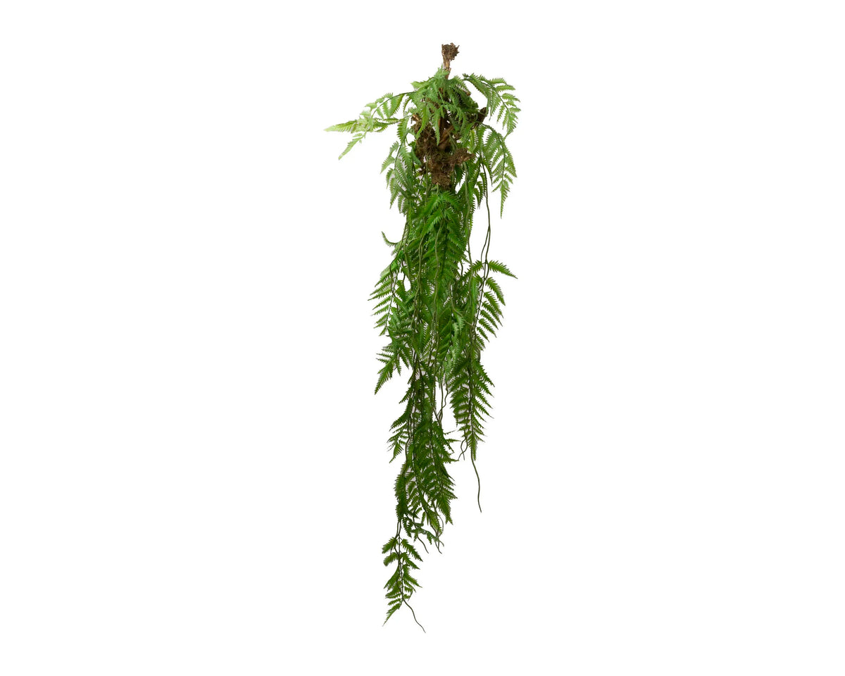 Hanging FERN vine 36x36x140