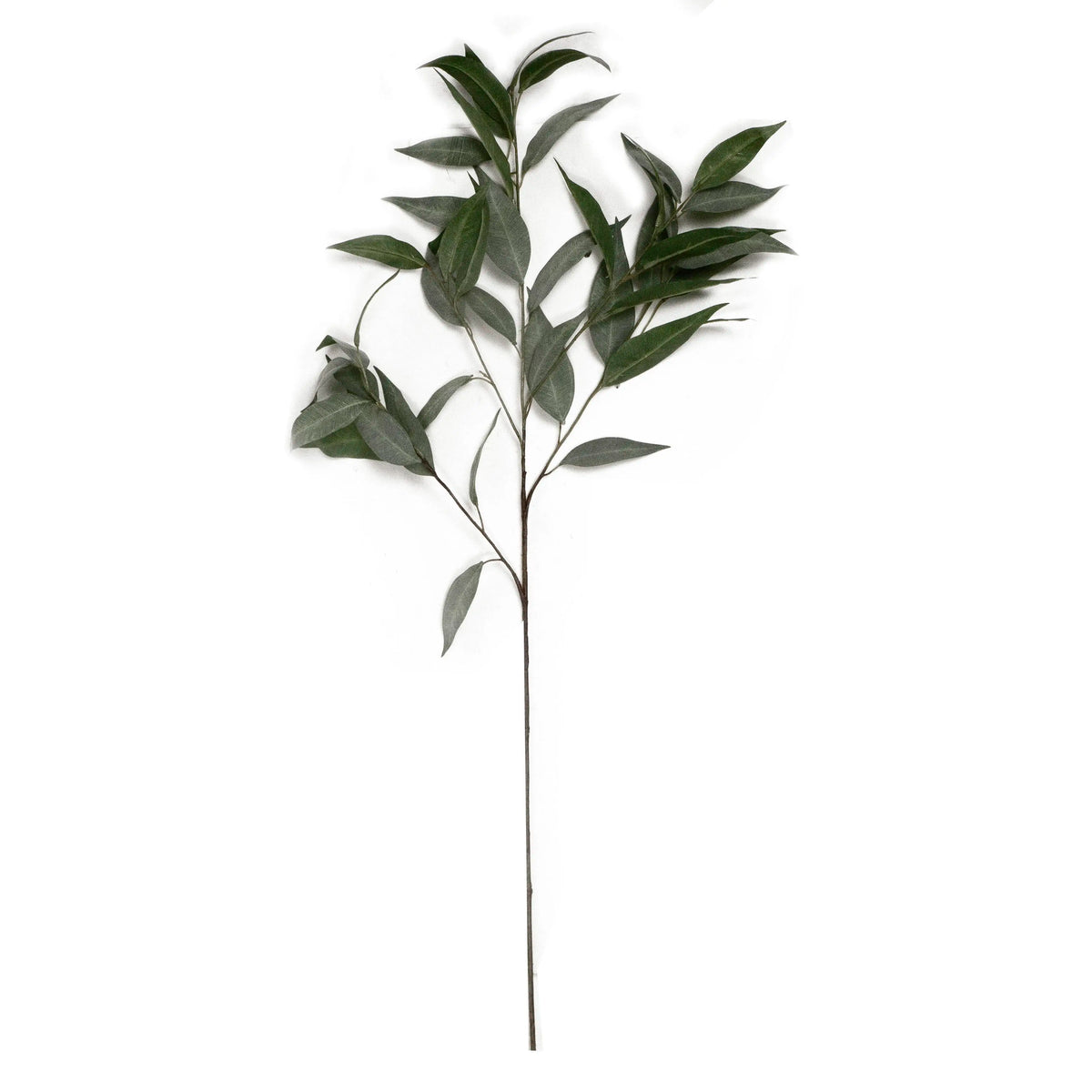 Branch EUCALYPTUS green 42x42x99