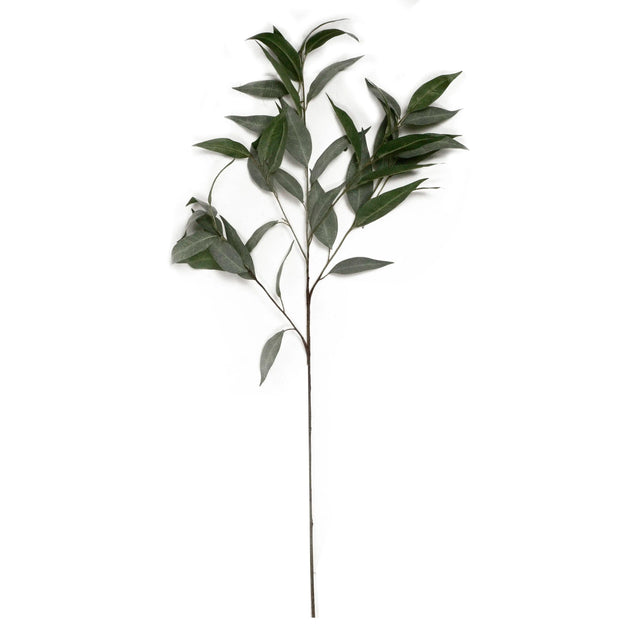 Branch EUCALYPTUS green 42x42x99