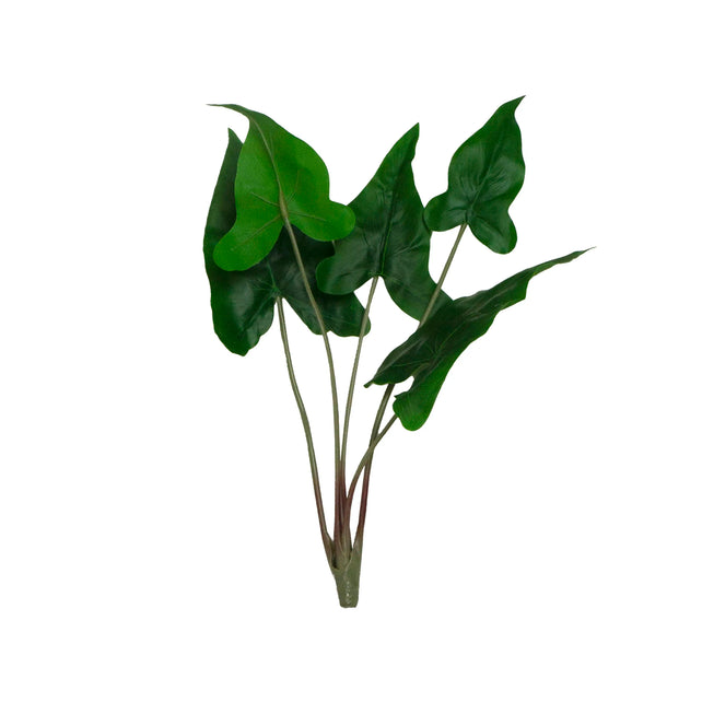 Alocasia branch green 36x36x37