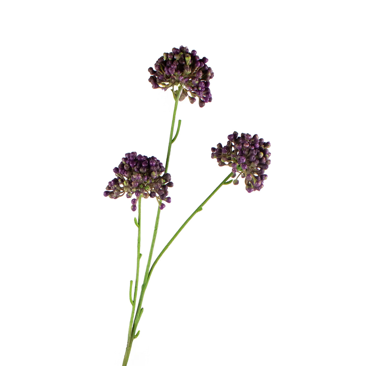Flower Allium spray dark purple 59cm