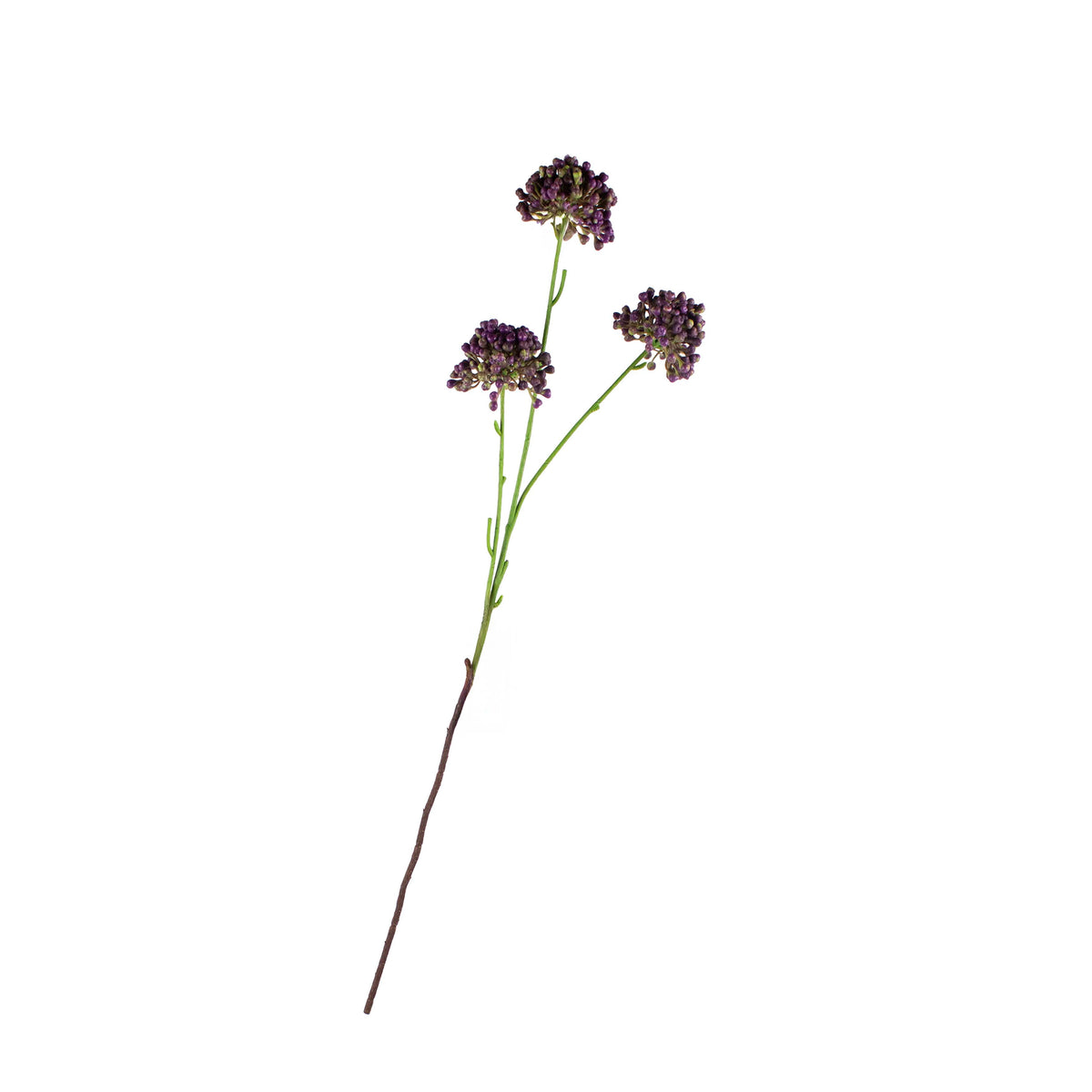 Flower Allium spray dark purple 59cm