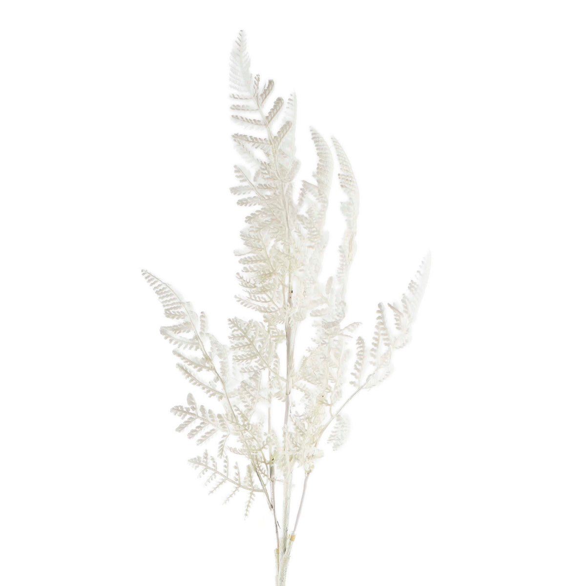 Stem leaves white 31x31x66