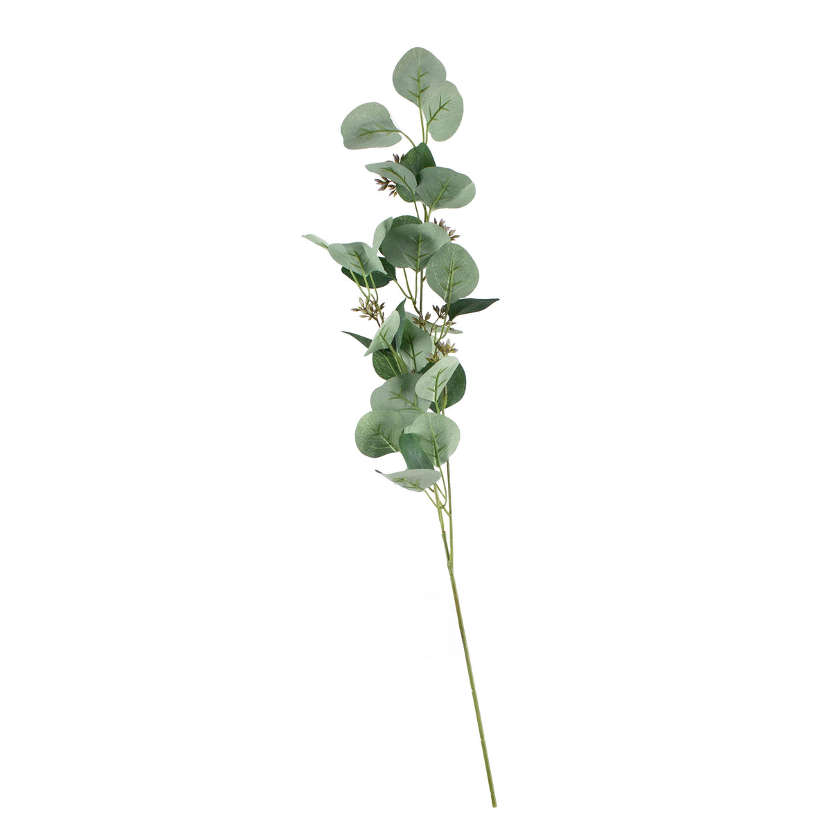 Stem eucalyptus green 24x24x68