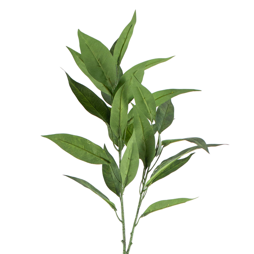 Branch EUCALYPTUS green 28x28x80