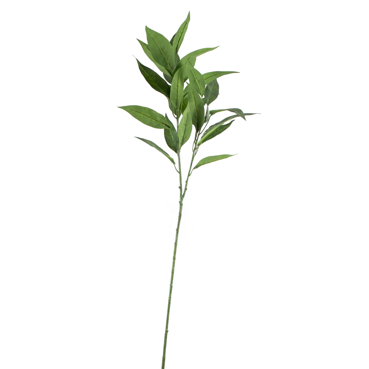 Branch EUCALYPTUS green 28x28x80