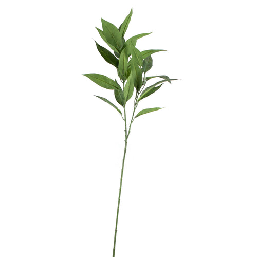 Branch EUCALYPTUS green 28x28x80