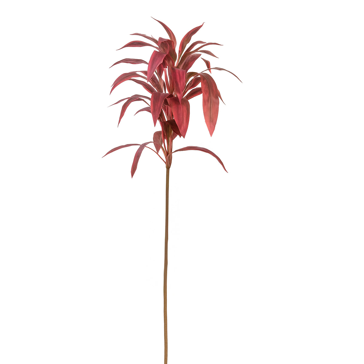 Stem cordyline light red 140x25x25