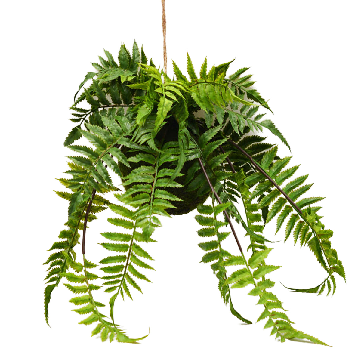 Hangplant VAREN 33x33x47cm groen