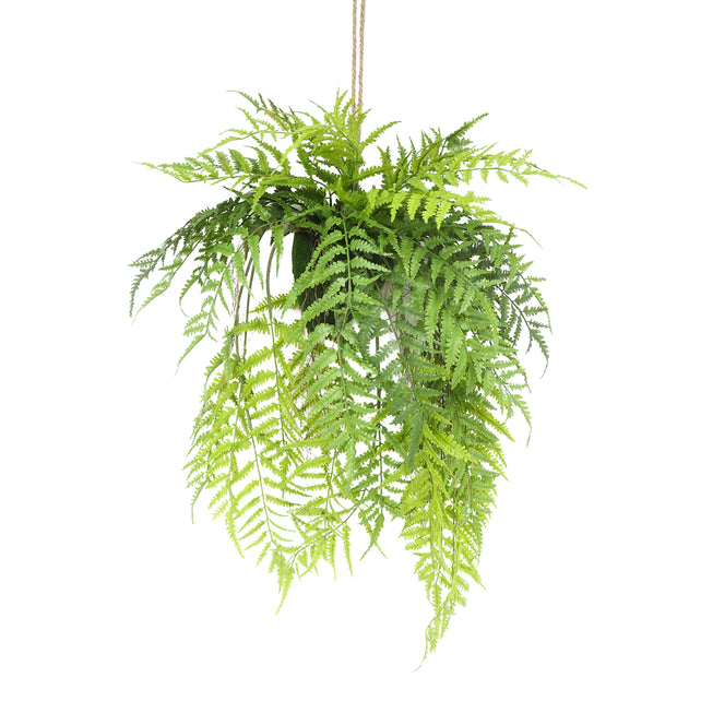 Hanging plant FERN 46x25x91cm green