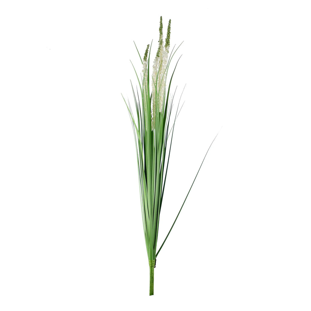 Decorative eremurus grass bush green/white 105cm