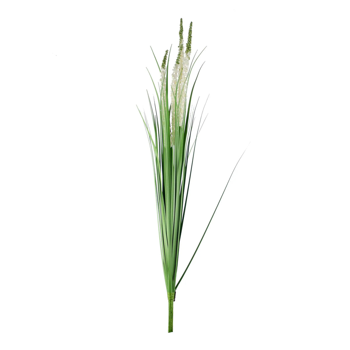 Decorative eremurus grass bush green/white 105cm