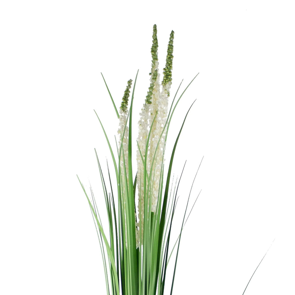 Decorative eremurus grass bush green/white 105cm