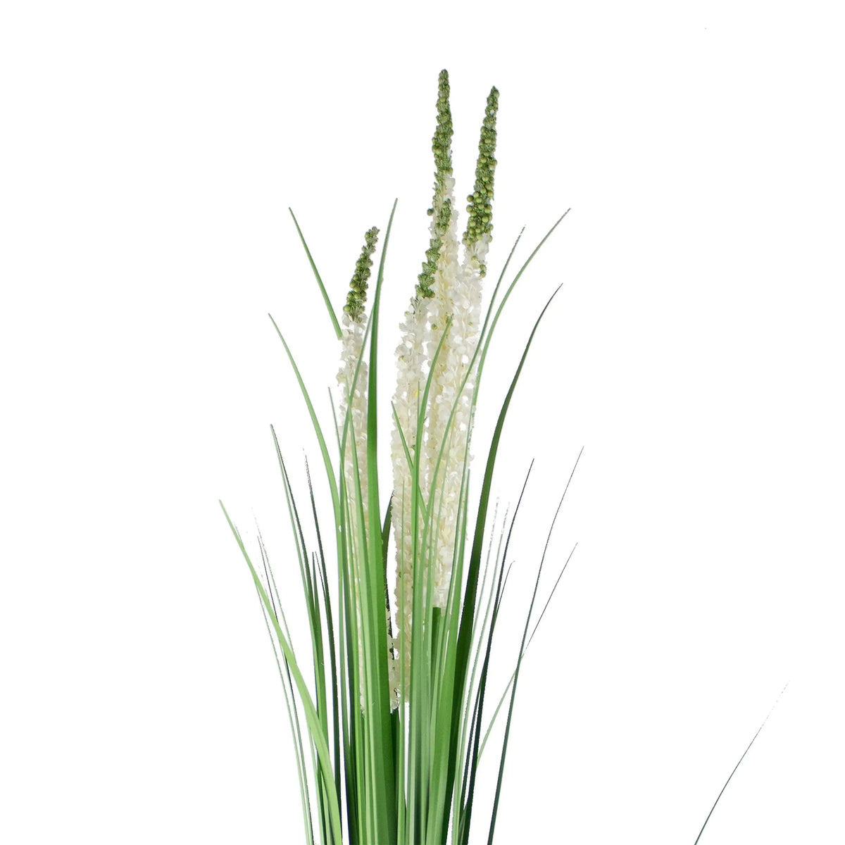 Decorative eremurus grass bush green/white 105cm