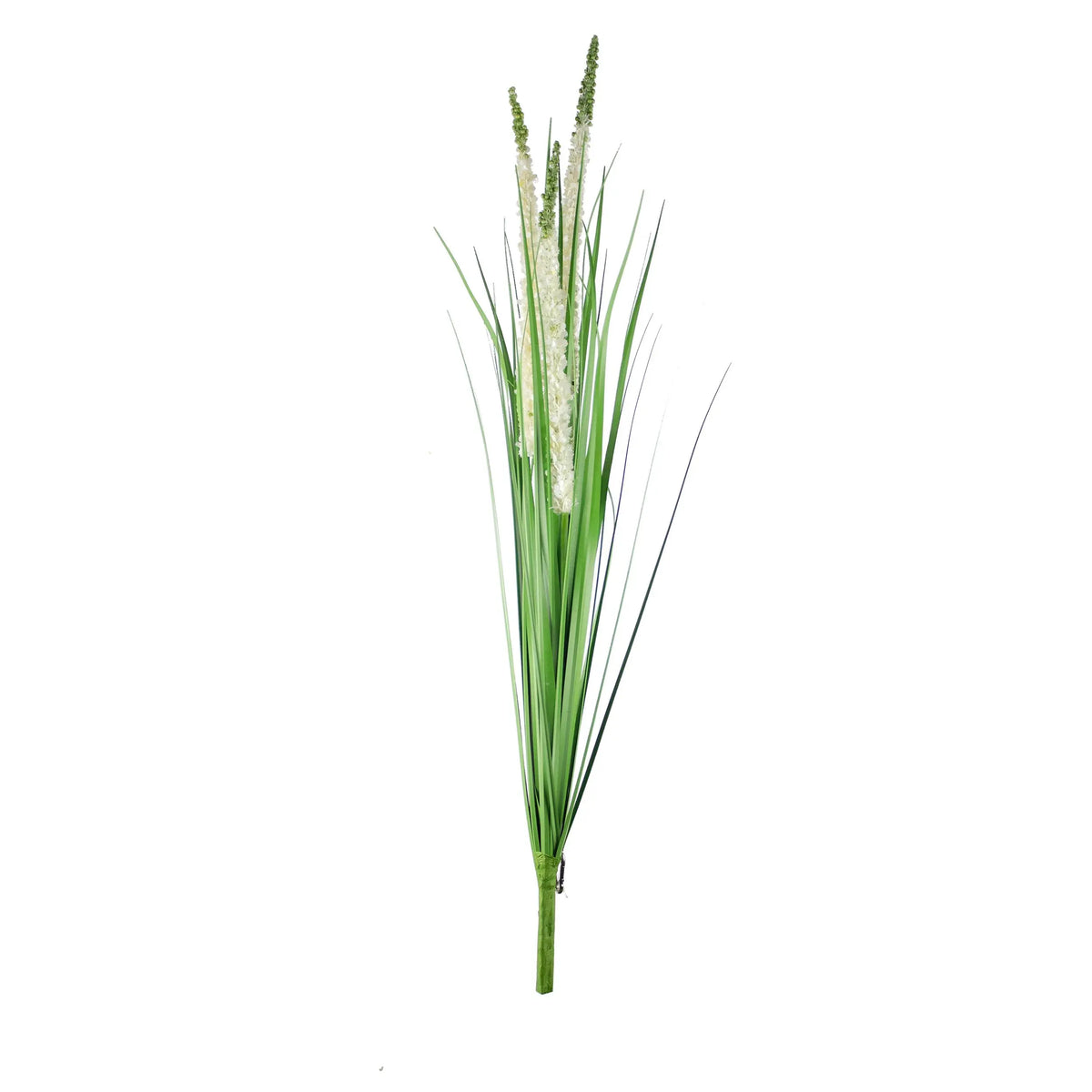 Decorative eremurus grass bush green/white 90cm
