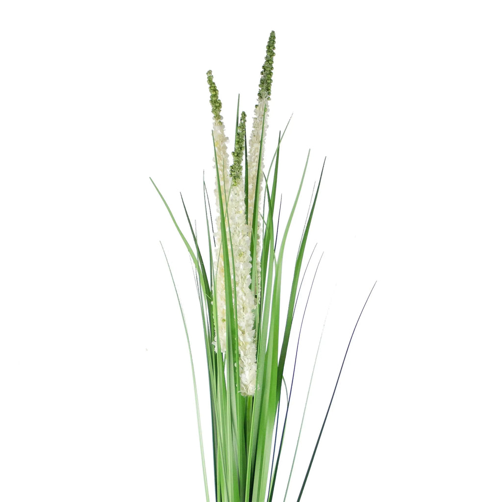 Decorative eremurus grass bush green/white 90cm