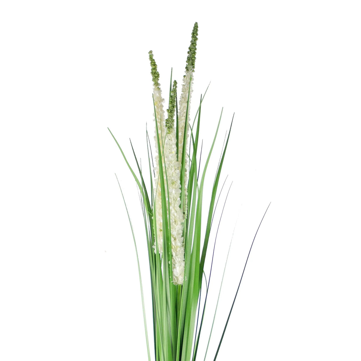 Decorative eremurus grass bush green/white 90cm