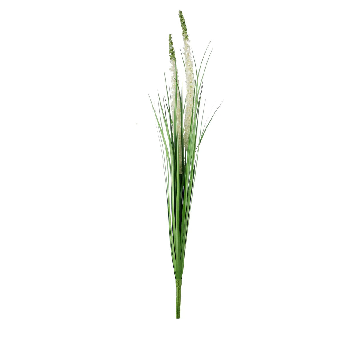 Decorative eremurus grass bush green/white 75cm
