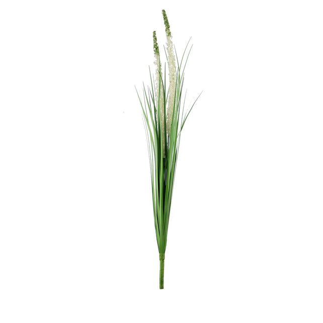 Decorative eremurus grass bush green/white 75cm