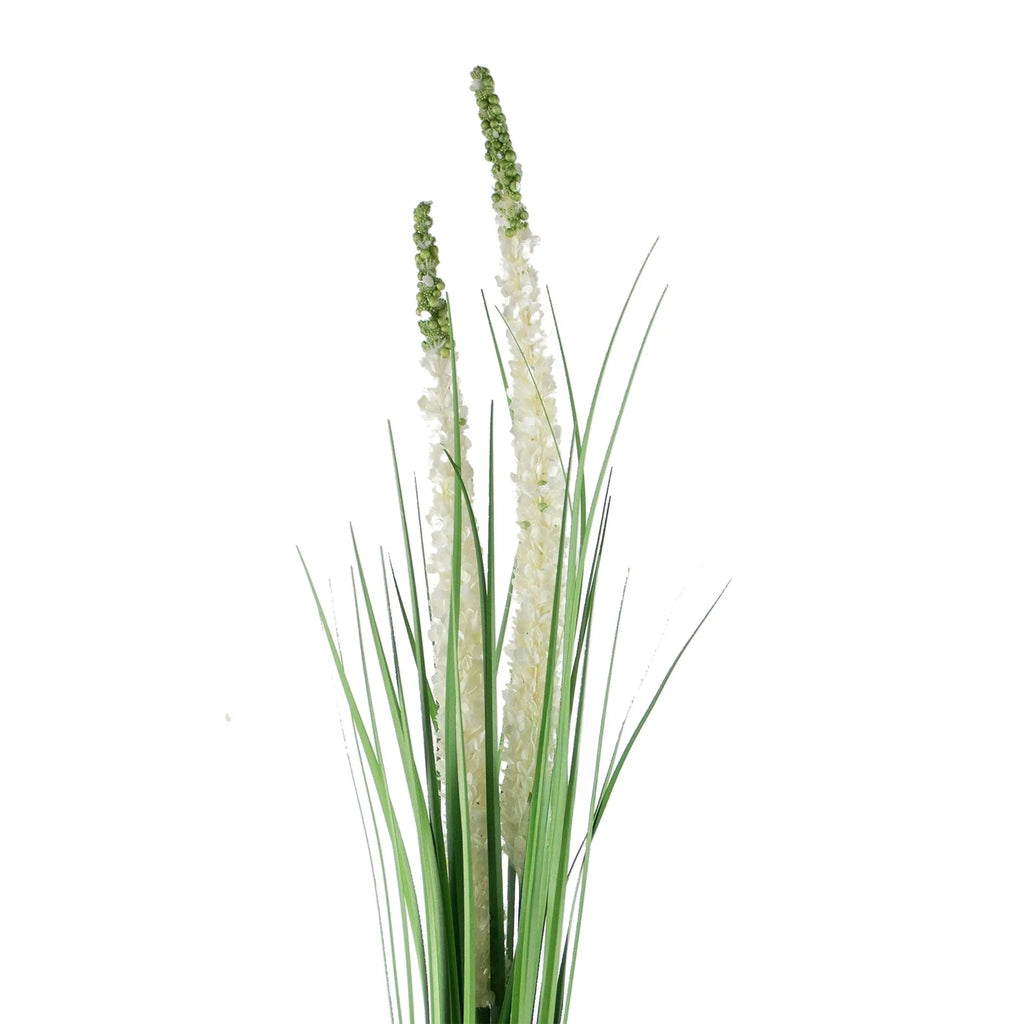 Decorative eremurus grass bush green/white 75cm