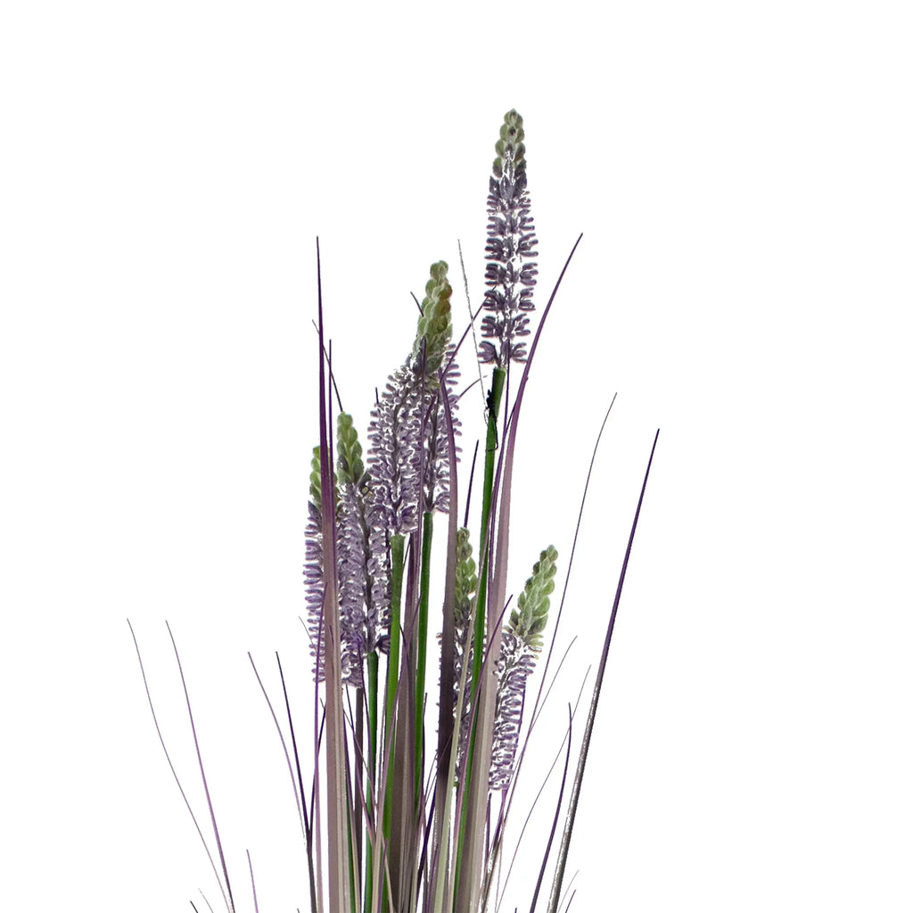 Decorative lavender grass bush green/purple 90cm