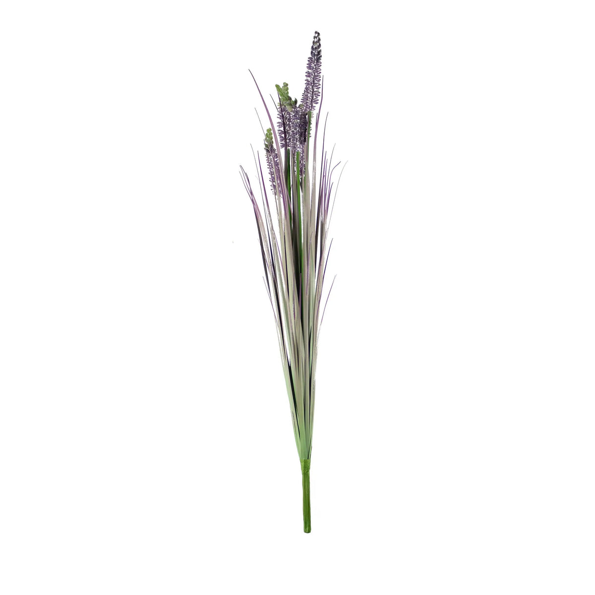 Decorative lavender grass bush green/purple 75cm